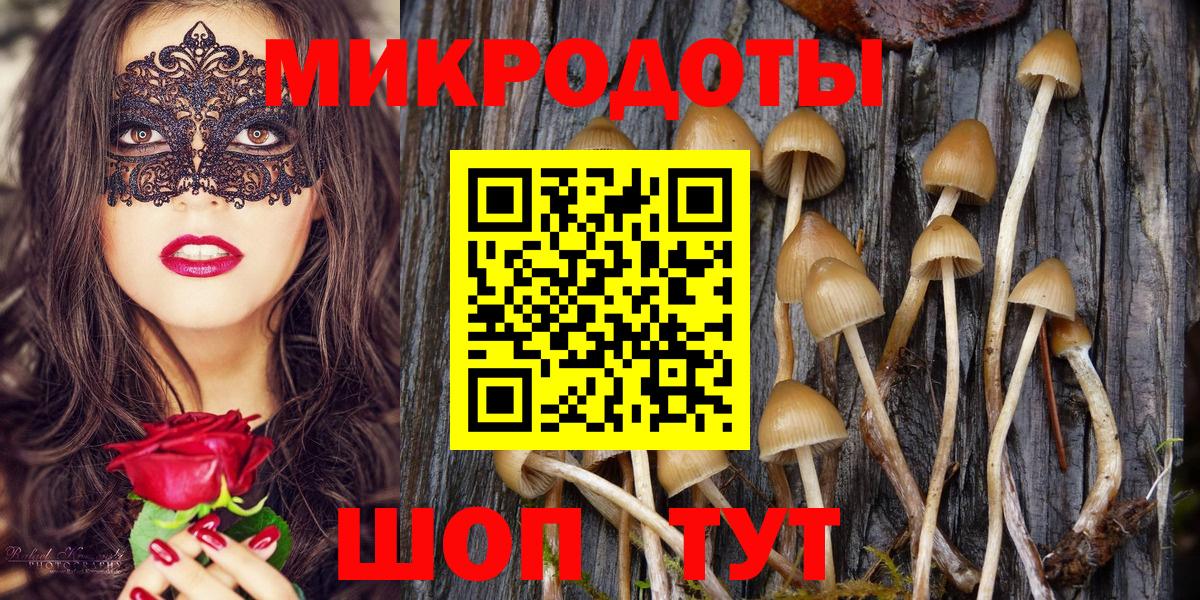 Заволжье  Галлюциногенные грибы ЛСД  Псилоцибиновые грибы Cubensis  Вход с VPN 